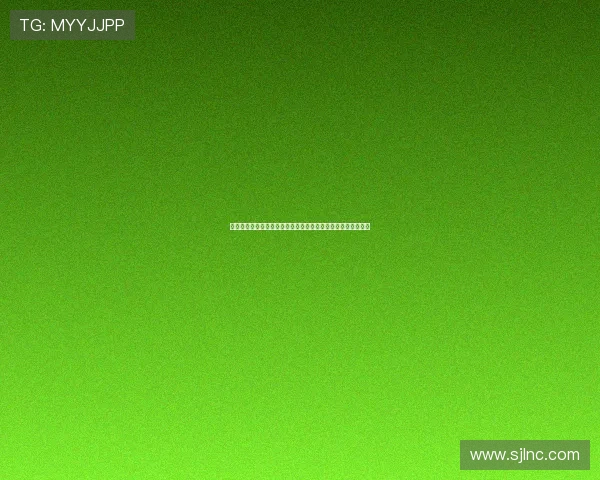 陕西联合足球俱乐部有限公司推动区域体育产业融合发展新篇章